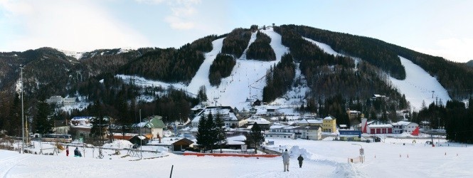 Pohľad